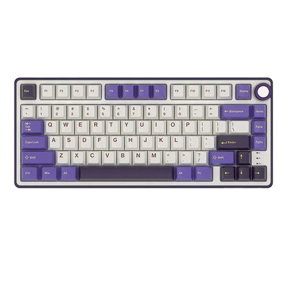 Royal Kludge RK R75 Mechanical Keyboard  Microcenter India