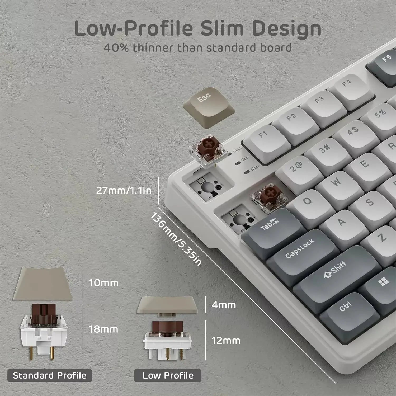 Royal Kludge RK N80 Low profile Mechanical Keyboard