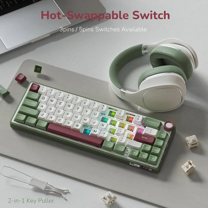 Royal Kludge RK R65 Mechanical Keyboard - Microcenter India