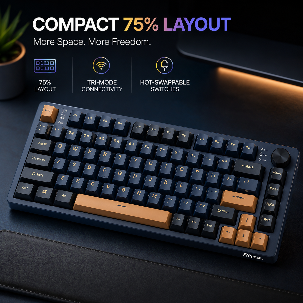 Royal Kludge RK H81 Mechanical Keyboard